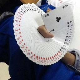 国产扑克视频网站大全,一网打尽国内扑克娱乐盛宴