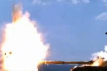 国产鲸鱼视频网站,探索海洋文化新视界  第3张