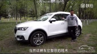 胖哥说车视频国产,胖哥说车视频深度解析