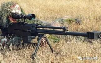 国产大口径狙击步枪视频,精准射击，捍卫国家安全