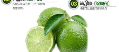 国产柠檬在线视频,在线视频带你领略酸甜之美